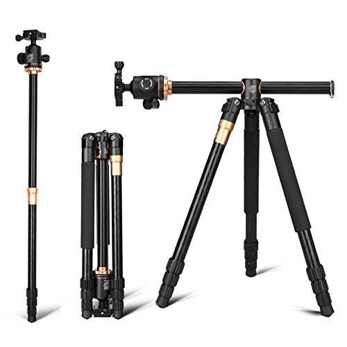 [QZSD Tripod] QZSD BEIKE Q999H 
